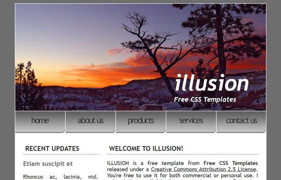illusion