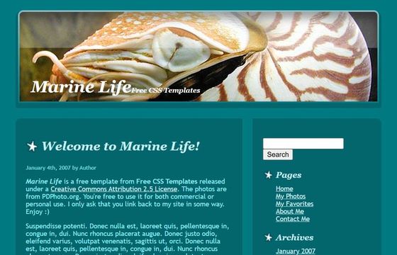 Marine Life