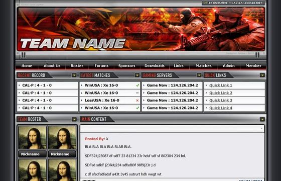 Team Name