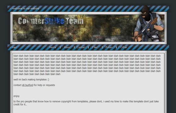 CounterStrike Team