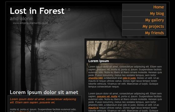 Lost in Forest
