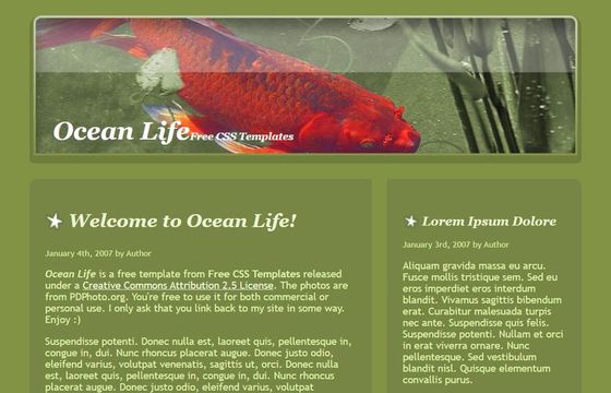 Ocean Life