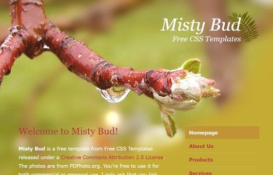 Misty Bud