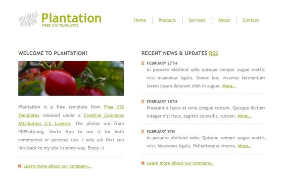 Plantation