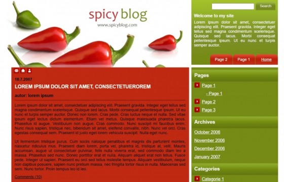 Spicy Blog