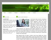 Шаблон Новая фирма