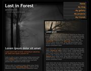 Lost in Forest