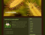 Contemplate
