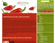 Spicy Blog